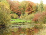 Arboretum Poortbulten